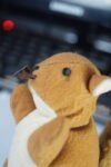 Mini peluche ardilla (2da mano) - pequeño