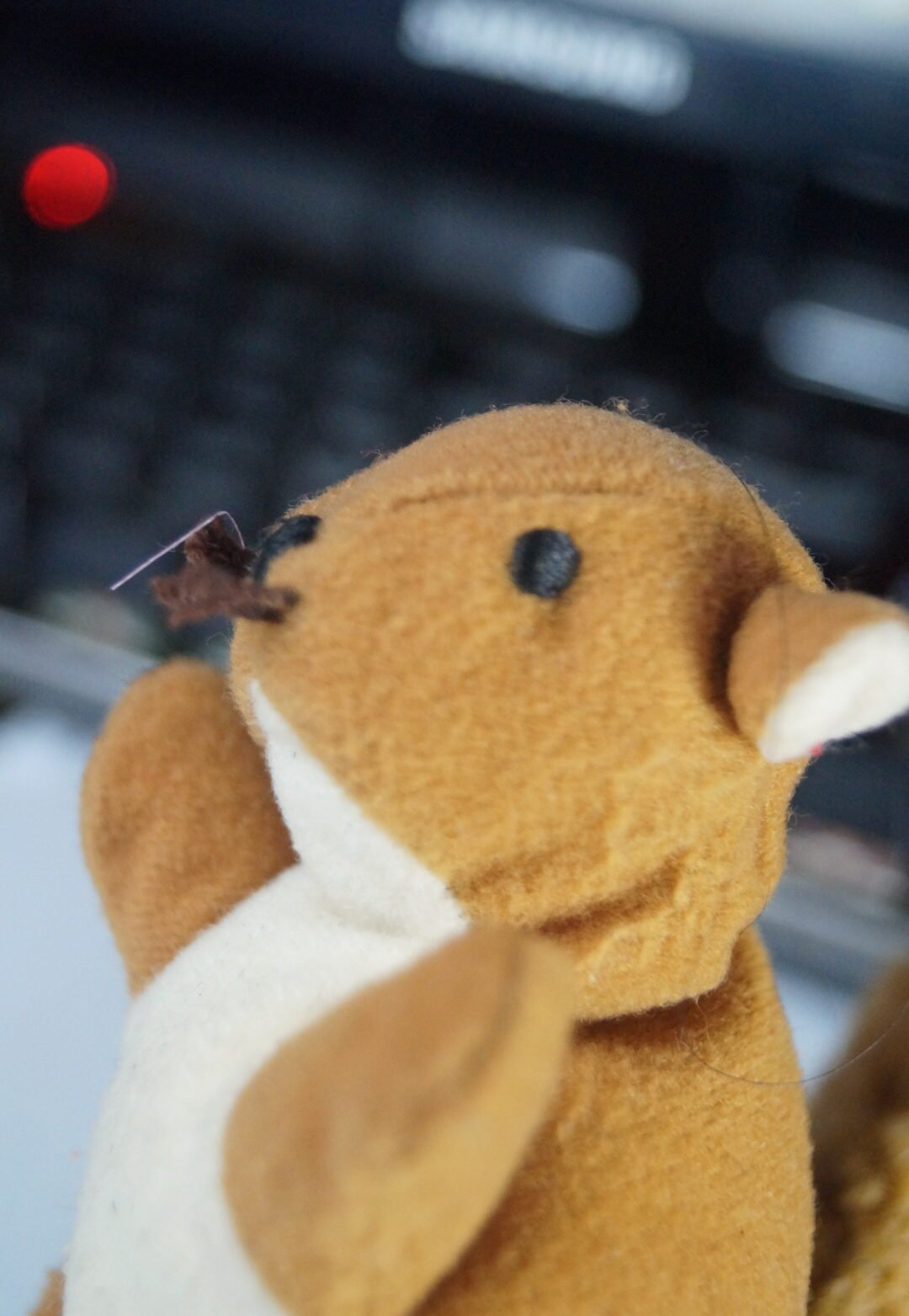 Mini peluche ardilla (2da mano) - pequeño